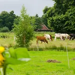 Nordbrock, 65317 - Nur Fuer Urlaubsgaeste! Appartement *