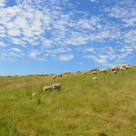 Apartamento Nordbrock, 65317 *