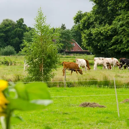 Nordbrock, 65317 Apartamento *