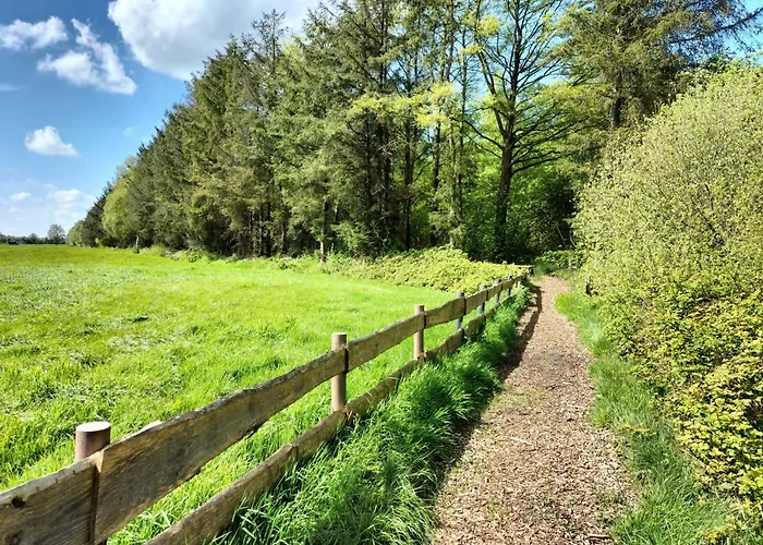 Nordbrock, 65317 公寓 *